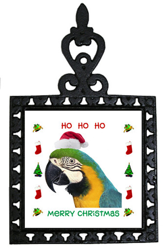 Macaw Christmas Trivet