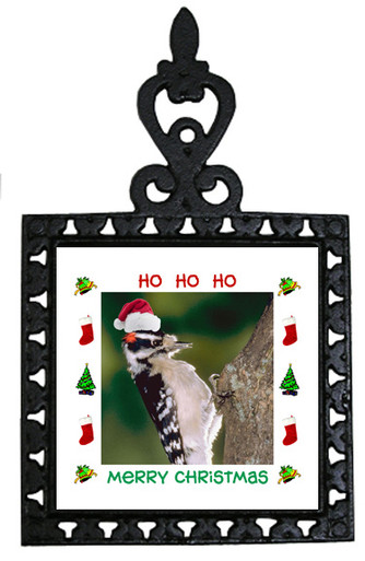 Downey Woodpecker Christmas Trivet