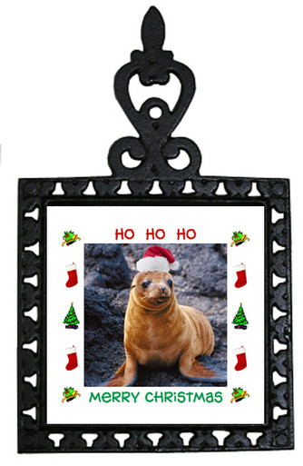 Sea Lion Christmas Trivet