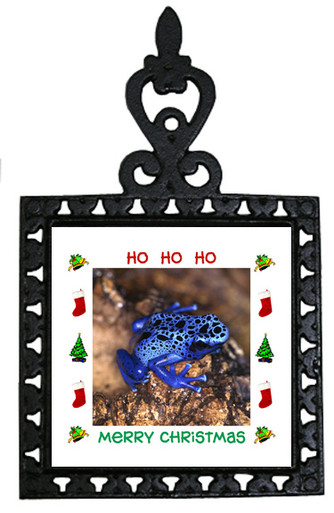 Blue Frog Christmas Trivet