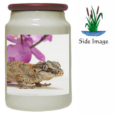 Gecko Canister Jar