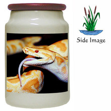 Python Snake Canister Jar