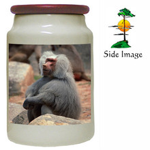 Baboon Canister Jar