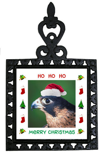 Falcon Christmas Trivet