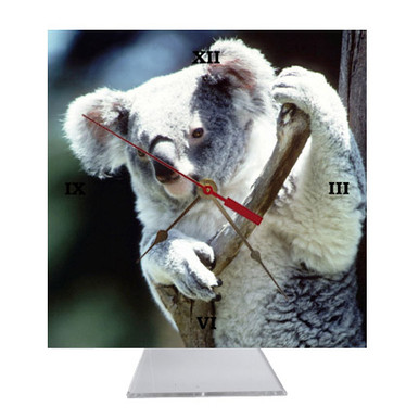Koala Bear Desk Clock