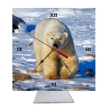 Polar Bear Desk Clock
