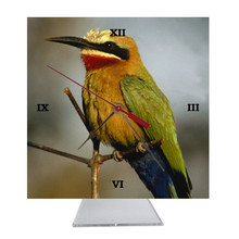 Bee Eater Desk Clock