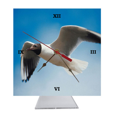 Black Headed Gull Desk Clock