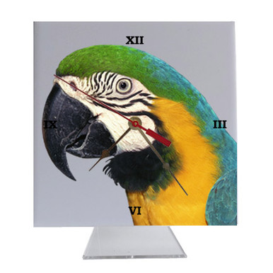 Macaw Desk Clock