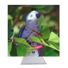 African Grey Parrot Desk Clock