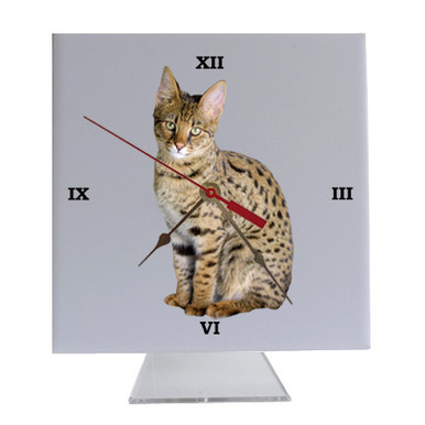 Savannah Cat Desk Clock