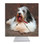 Bearded Collie Desk Clock