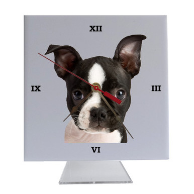 Boston Terrier Desk Clock