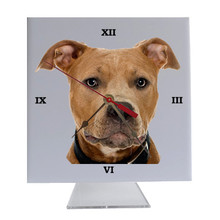 Pitbull Desk Clock