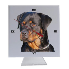 Rottweiler Desk Clock