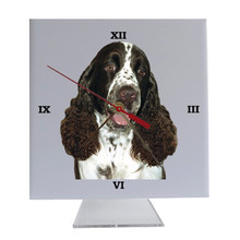 Springer Spaniel Desk Clock