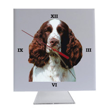 Springer Spaniel Desk Clock