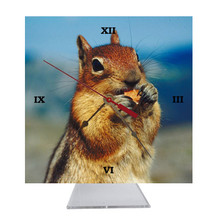 Chipmunk Desk Clock