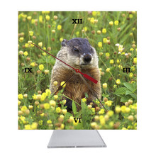 Groundhog Desk Clock