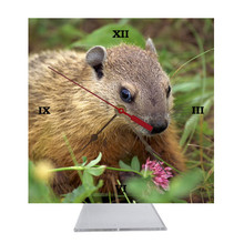 Groundhog Desk Clock