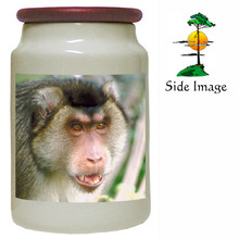 Monkey Canister Jar