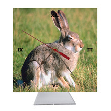 Rabbit Desk Clock