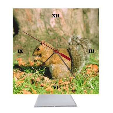 Squirrel Desk Clock