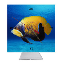 Blue Girdled Angelfish Desk Clock