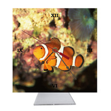 Clownfish Desk Clock