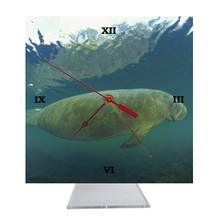 Manatee Desk Clock