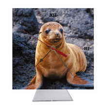 Sea Lion Desk Clock