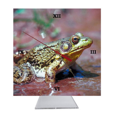 Green Frog Desk Clock