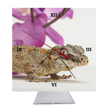 Gecko Desk Clock