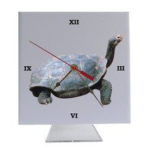 Turtle Desk Clock