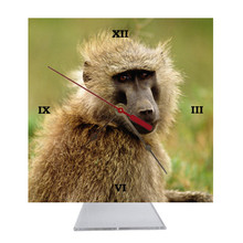 Baboon Desk Clock