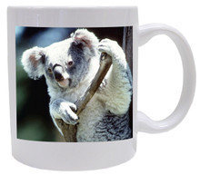 Koala Bear Coffee Mug