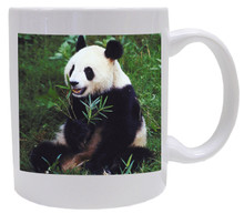 Panda Bear Coffee Mug