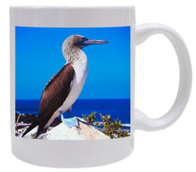 Blue Footed Booby Coffee Mug