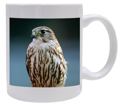 Falcon Coffee Mug