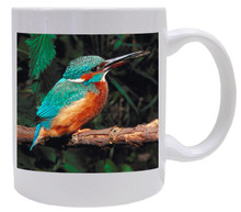 Kingfisher Coffee Mug