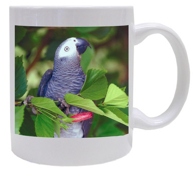 African Grey Parrot Coffee Mug