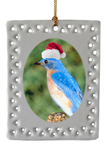 Bluebird  Christmas Ornament