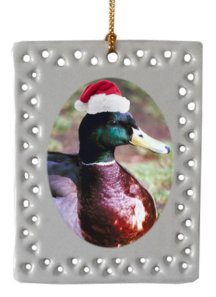Duck  Christmas Ornament
