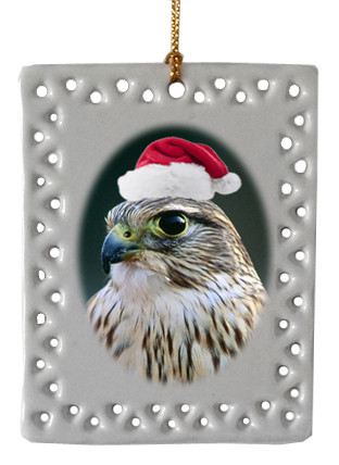 Falcon  Christmas Ornament