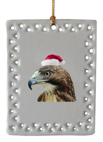 Hawk  Christmas Ornament