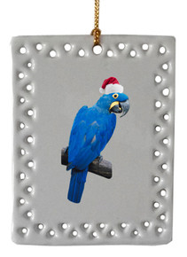 Macaw  Christmas Ornament