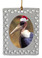 Vulture  Christmas Ornament