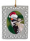 Downey Woodpecker  Christmas Ornament