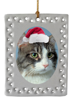 Cat  Christmas Ornament