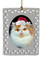 Persian Cat  Christmas Ornament